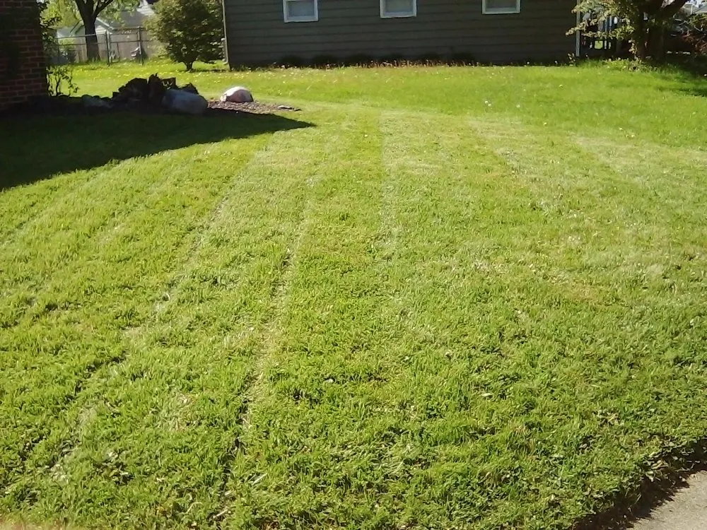Top-rated yard maintenance in Fort Wayne, IN by Oneth Lawn Care