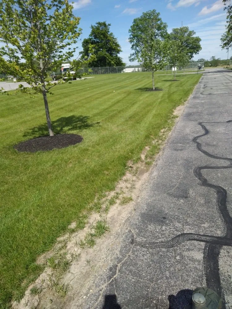 Trusted yard cleanup service in Fort Wayne, IN - Oneth Lawn Care