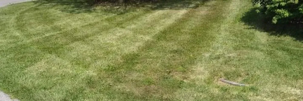 Local yard cleanup service in Woodburn, IN by Oneth Lawn Services