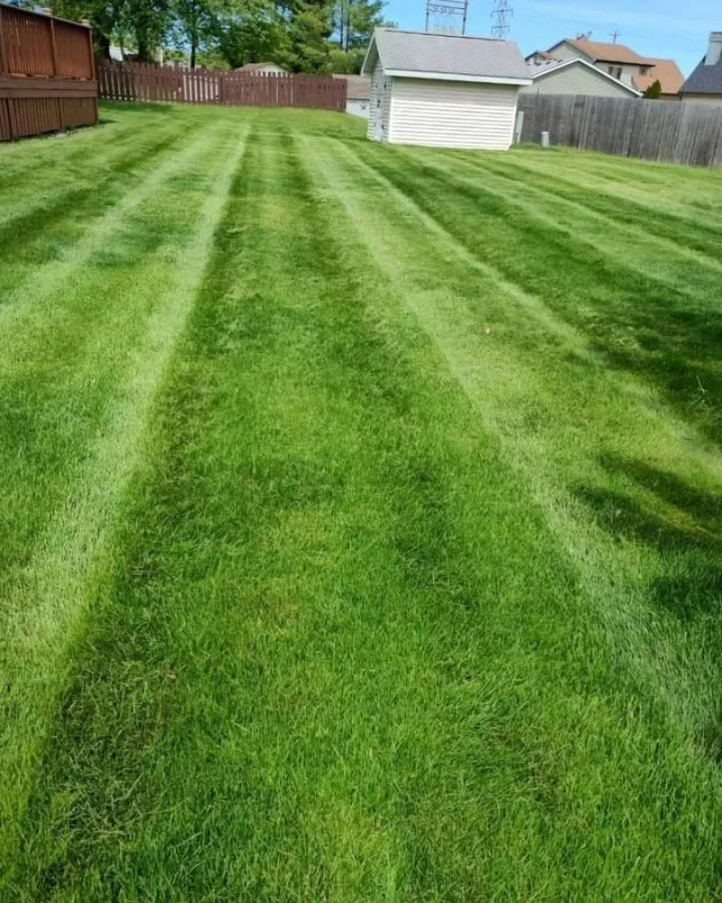 Professional yard cleanup service in Woodburn, IN by Oneth Lawn Services