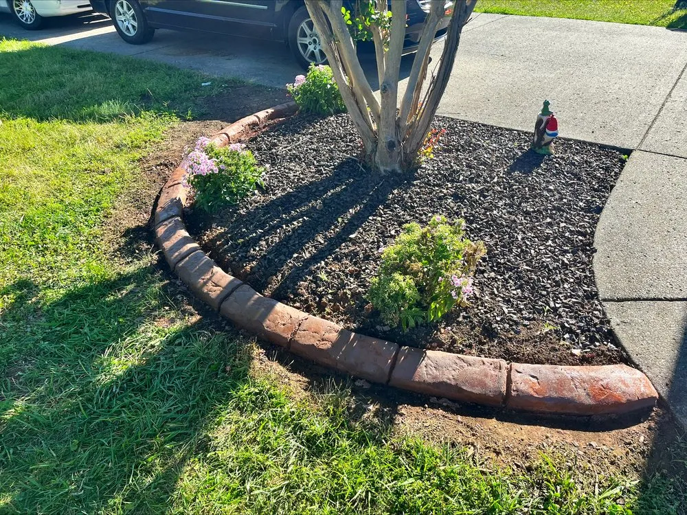 Affordable yard cleanup service in Christiana, TN - OneWay Landscapes