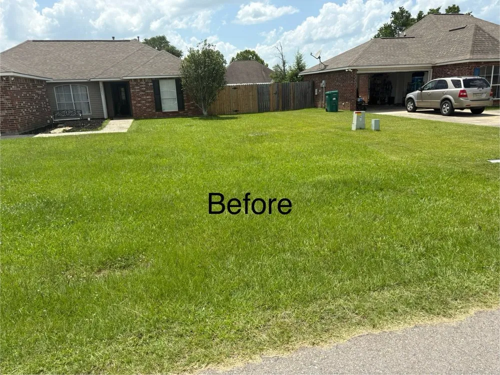 Trusted landscape design for year-round maintenance across Walker, LA - OnGeaux