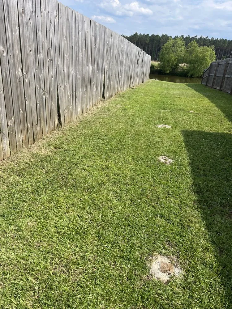 Professional yard maintenance for beautiful yards in Walker, LA by OnGeaux