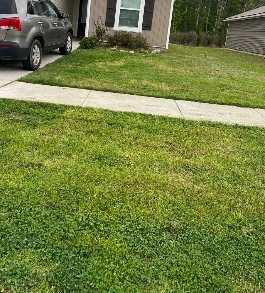 Reliable residential landscaping for residential properties in Walker, LA by OnGeaux