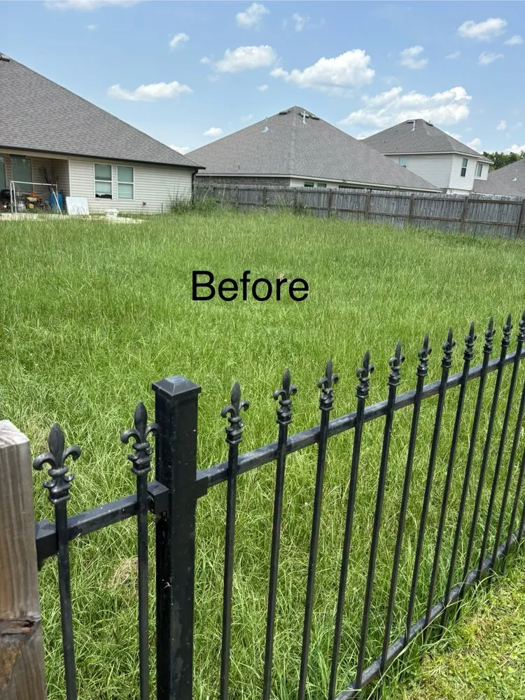 Custom residential landscaping in Walker, LA - OnGeaux