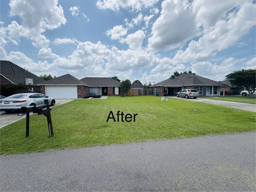 Reliable landscape design in Walker, LA by OnGeaux