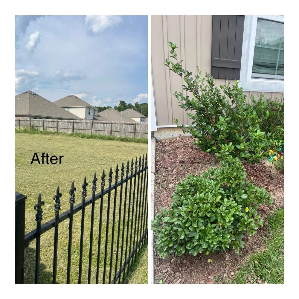 Expert lawn mowing service in Walker, LA by OnGeaux