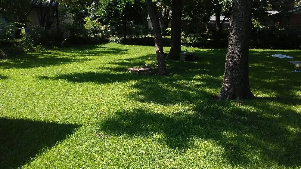 Custom yard maintenance experts serving Fort Worth, TX - ONIT Handymen