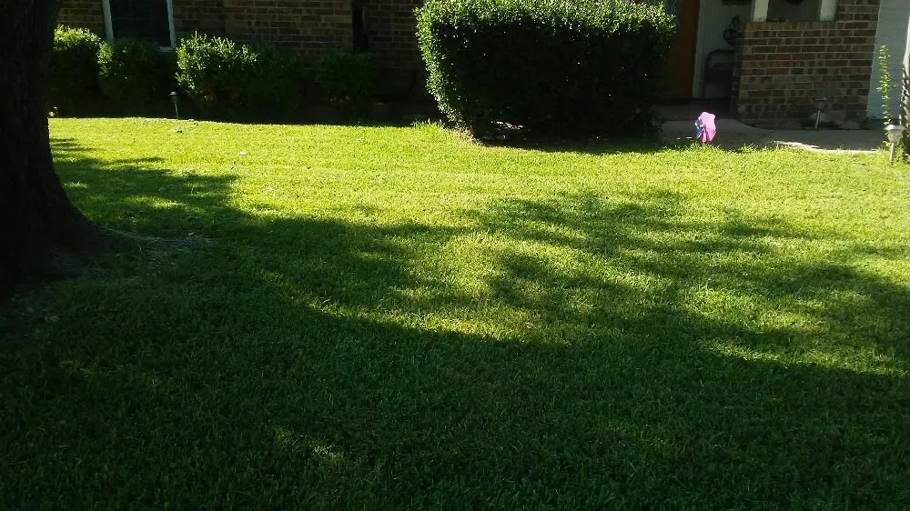 Affordable garden landscaping for year-round maintenance across Fort Worth, TX - ONIT Handymen