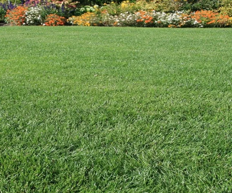 Expert landscape installation for beautiful yards in Fort Smith, AR by Onit Lawn Care