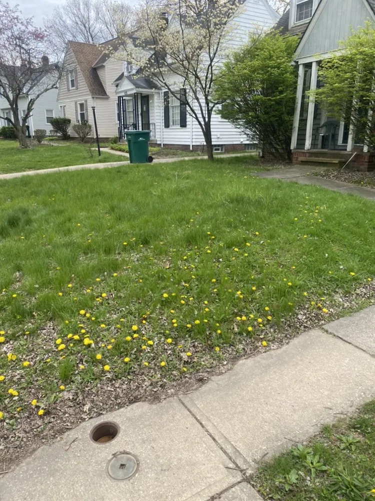 Professional yard maintenance for year-round maintenance across Garfield Heights, OH - Only 1 Thouch Lawn Care