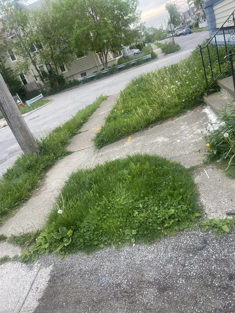 Local residential landscaping for homes in Garfield Heights, OH by Only 1 Thouch Lawn Care