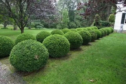 Local landscape design near you across Harvest, AL - Only Grass Turf Specialists