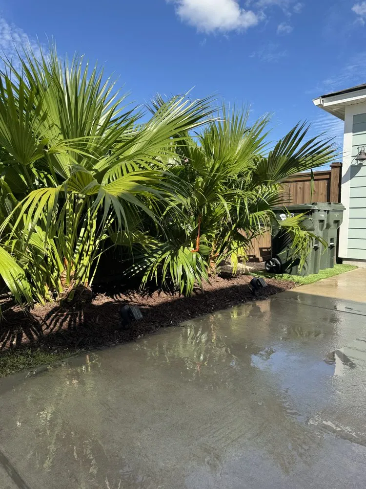 Professional lawn care service with custom design in Goose Creek, SC by Only Green Landscape And Lighting Solutions