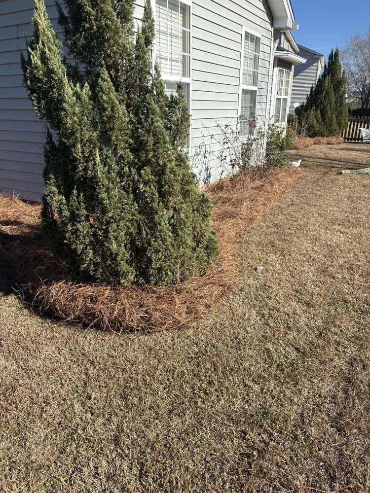 Top-rated residential landscaping in Goose Creek, SC - Only Green Landscape And Lighting Solutions