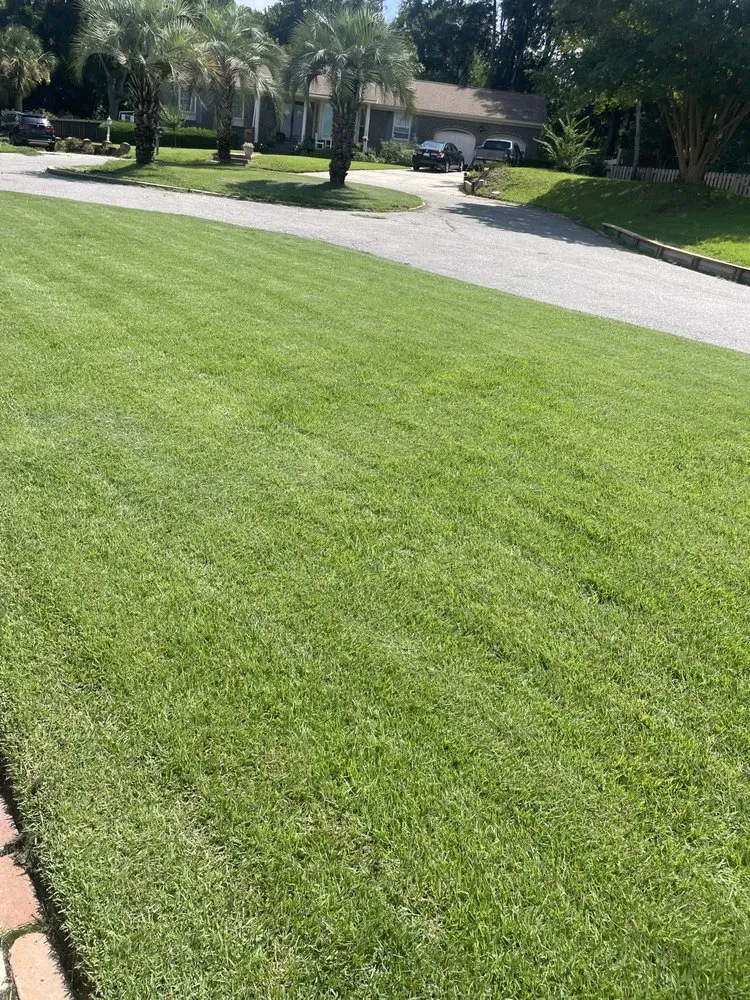 Professional landscape installation in Goose Creek, SC by Only Green Landscape And Lighting Solutions