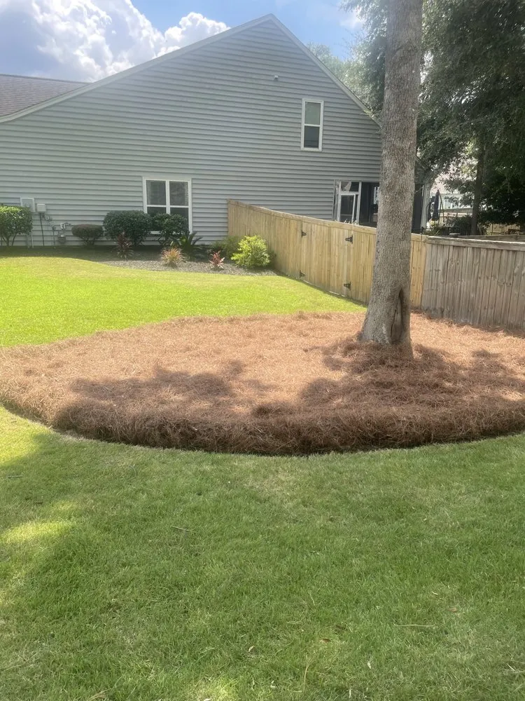 Top-rated lawn mowing service in Goose Creek, SC - Only Green Landscape And Lighting Solutions