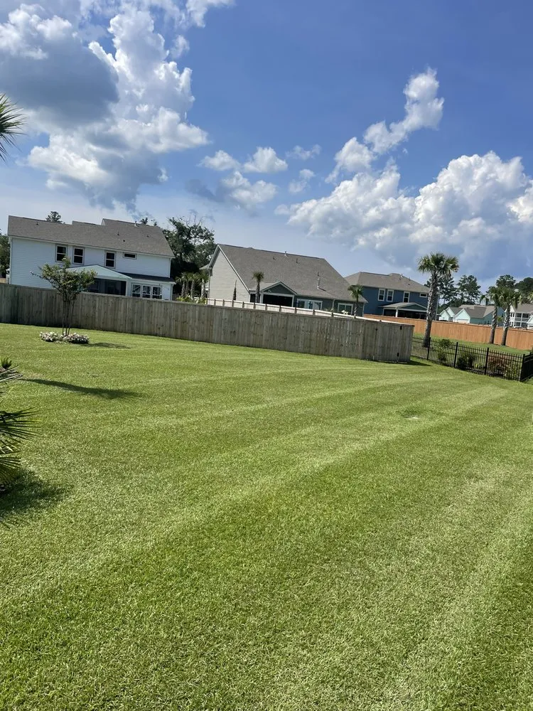 Expert landscaping services in Goose Creek, SC - Only Green Landscape And Lighting Solutions