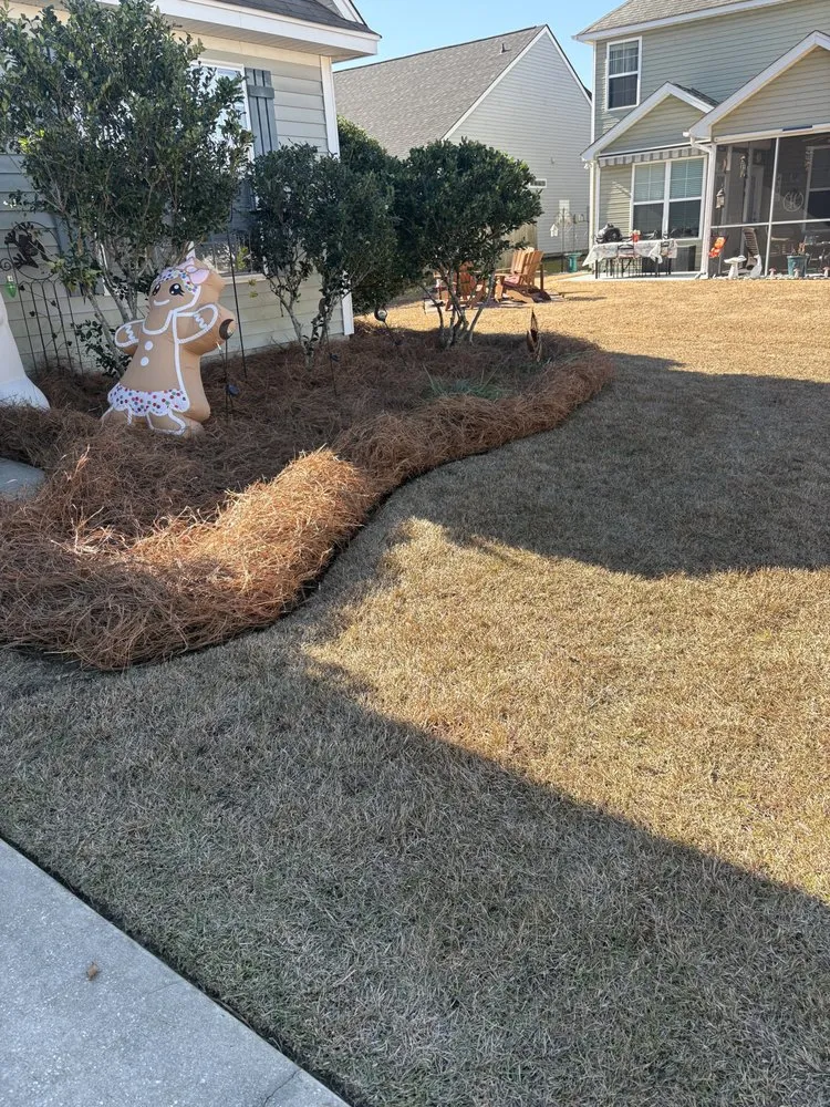 Custom landscape installation experts serving Goose Creek, SC - Only Green Landscape And Lighting Solutions