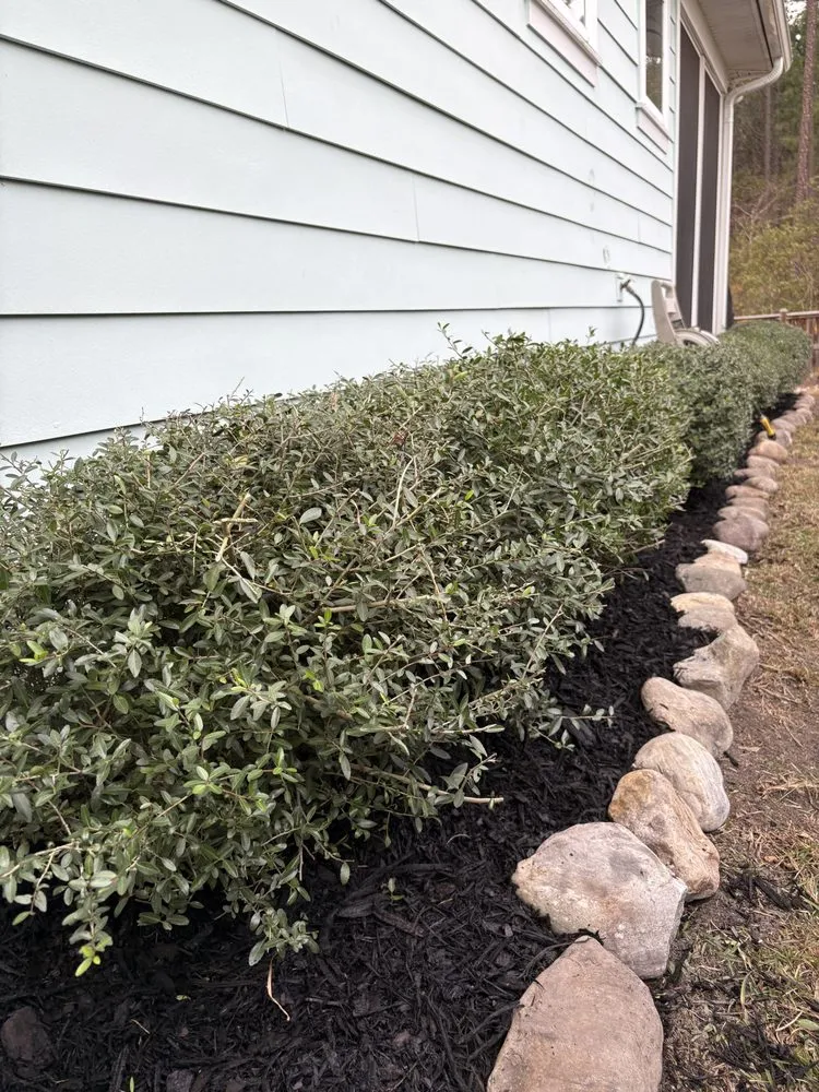 Affordable residential landscaping experts serving Goose Creek, SC - Only Green Landscape And Lighting Solutions