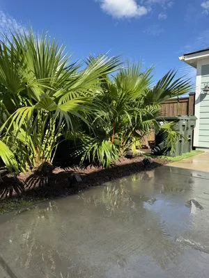 Only Green Landscape And Lighting Solutions