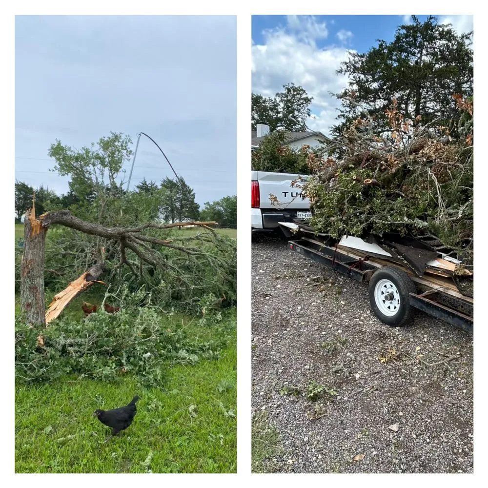 Expert lawn care service with custom design across Hutto, TX - Only Green Landscaping