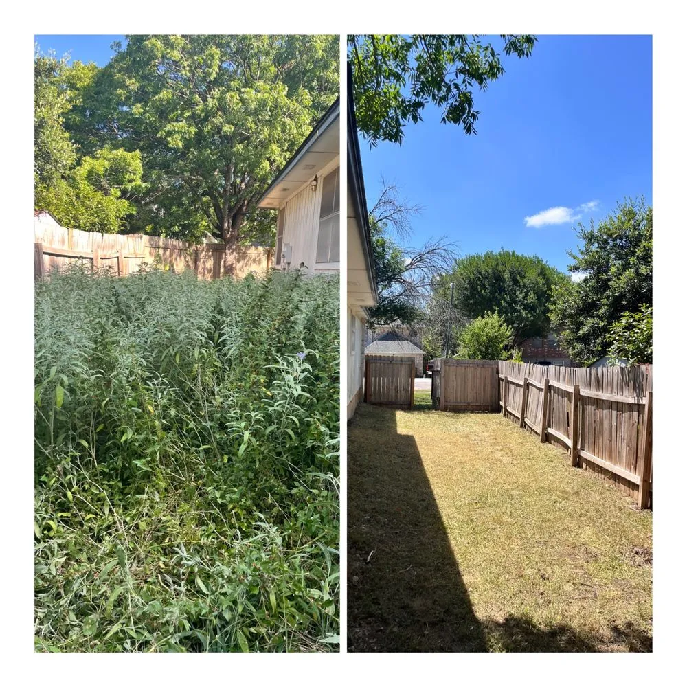 Top-rated residential landscaping near you in Hutto, TX by Only Green Landscaping