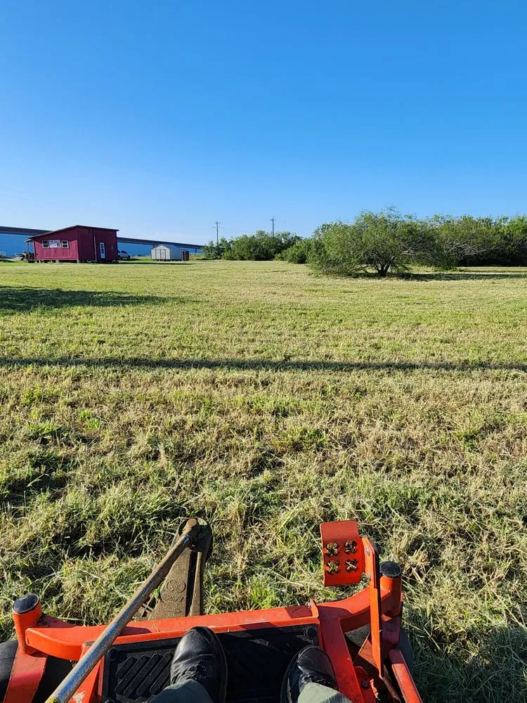 Custom landscape design for beautiful yards across Kingsville, TX - Only Kids Lawn Care