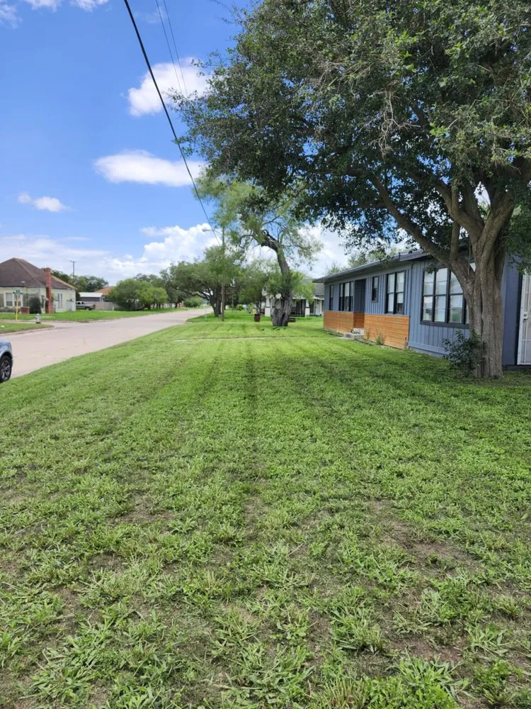 Affordable landscaping services near you across Kingsville, TX - Only Kids Lawn Care