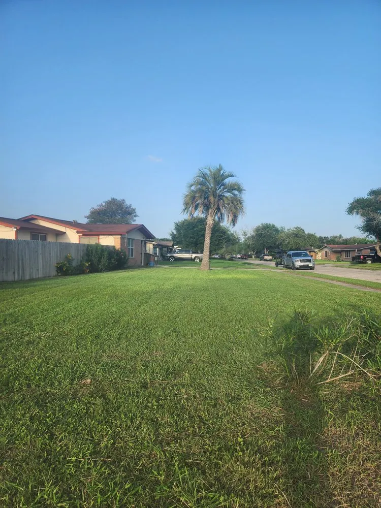 Professional landscape design experts serving Kingsville, TX - Only Kids Lawn Care