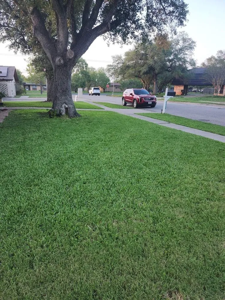 Professional lawn mowing service in Kingsville, TX by Only Kids Lawn Care
