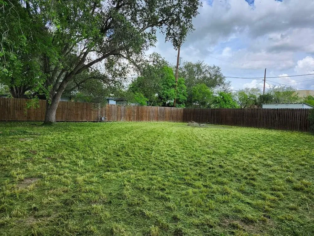 Affordable yard cleanup service for outdoor upgrades across Kingsville, TX - Only Kids Lawn Care