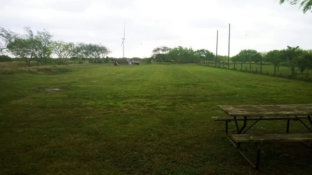 Local yard maintenance in Kingsville, TX - Only Kids Lawn Care