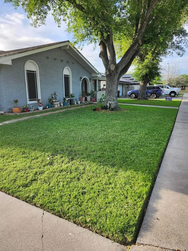 Trusted landscaping services experts serving Kingsville, TX - Only Kids Lawn Care