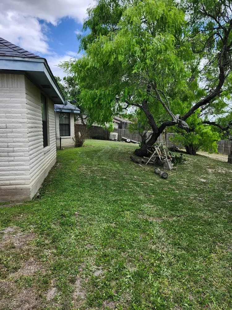 Expert landscape design in Kingsville, TX by Only Kids Lawn Care