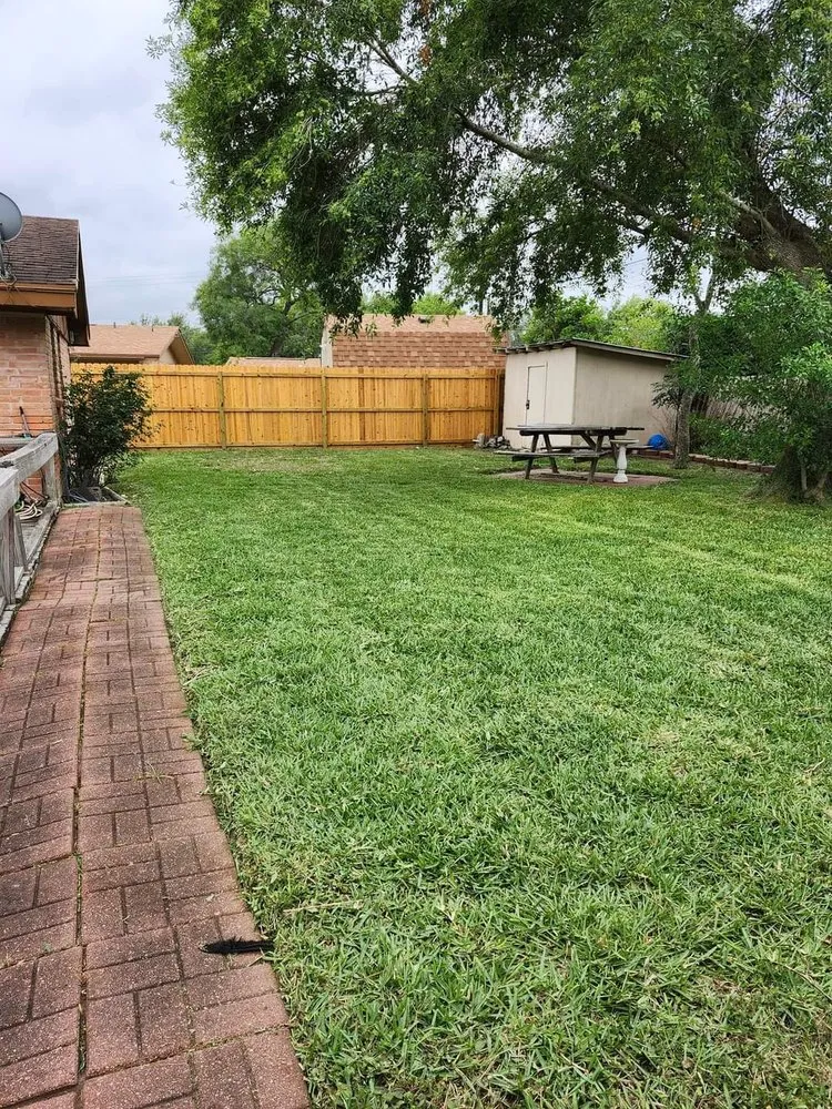 Expert landscaping services experts serving Kingsville, TX - Only Kids Lawn Care