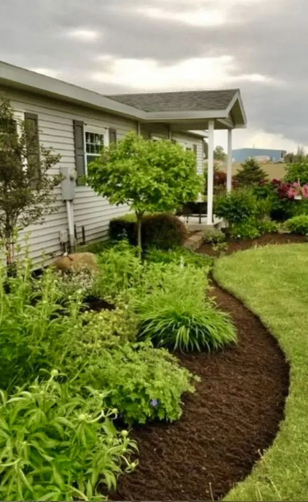 Professional landscape design experts serving Austin, TX - Only Lawns