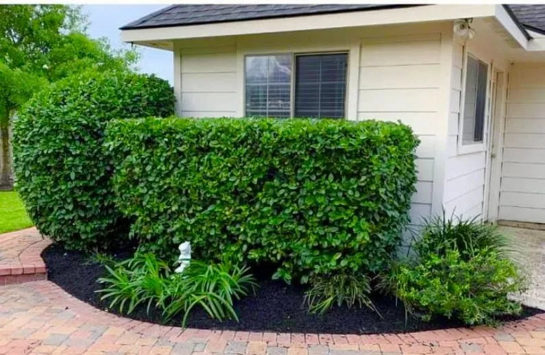 Custom landscape design for outdoor upgrades across Austin, TX - Only Lawns