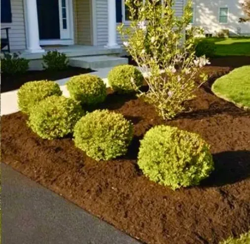 Top-rated lawn mowing service with custom design across Austin, TX - Only Lawns