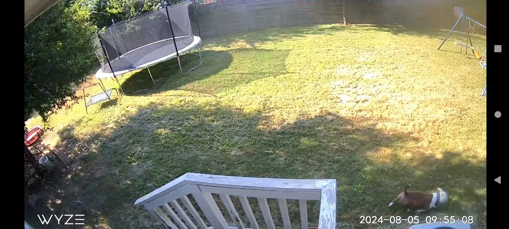 Trusted lawn care service in Austin, TX by Only Lawns