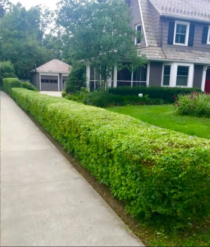 Custom yard maintenance for homes across Austin, TX - Only Lawns