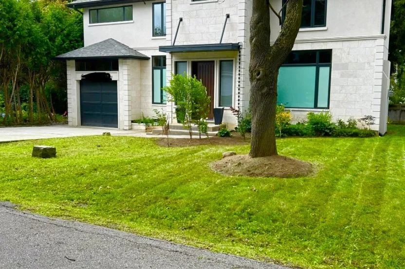 Trusted landscape design for year-round maintenance in Austin, TX by Only Lawns