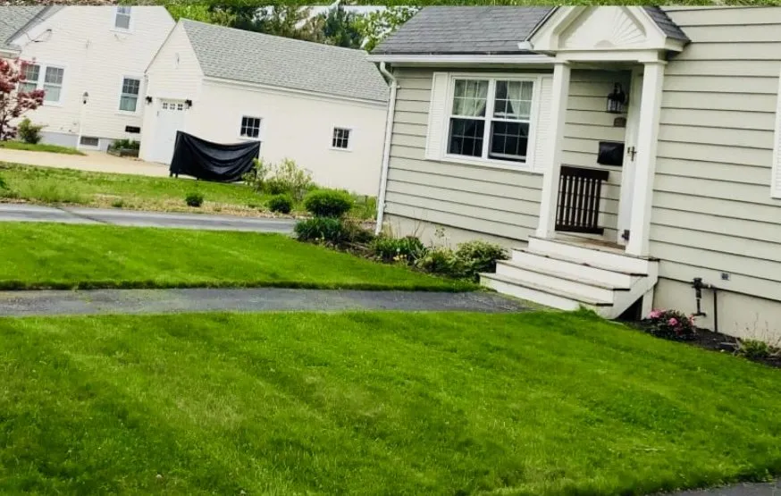 Trusted landscape design in Austin, TX - Only Lawns