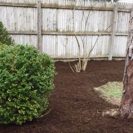 Trusted landscape installation near you in Austin, TX by Only Lawns