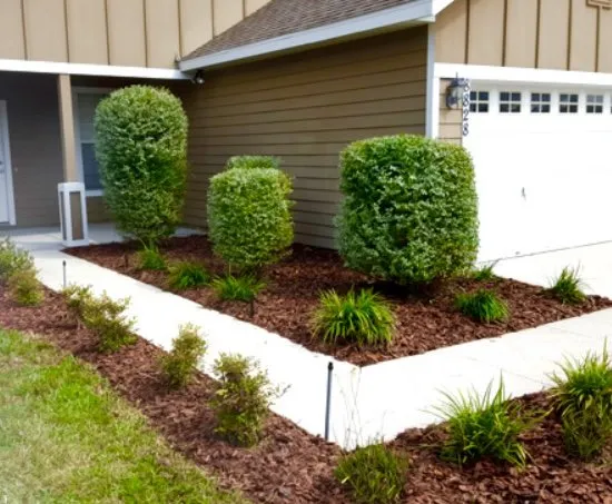 Trusted garden landscaping in Austin, TX - Only Lawns