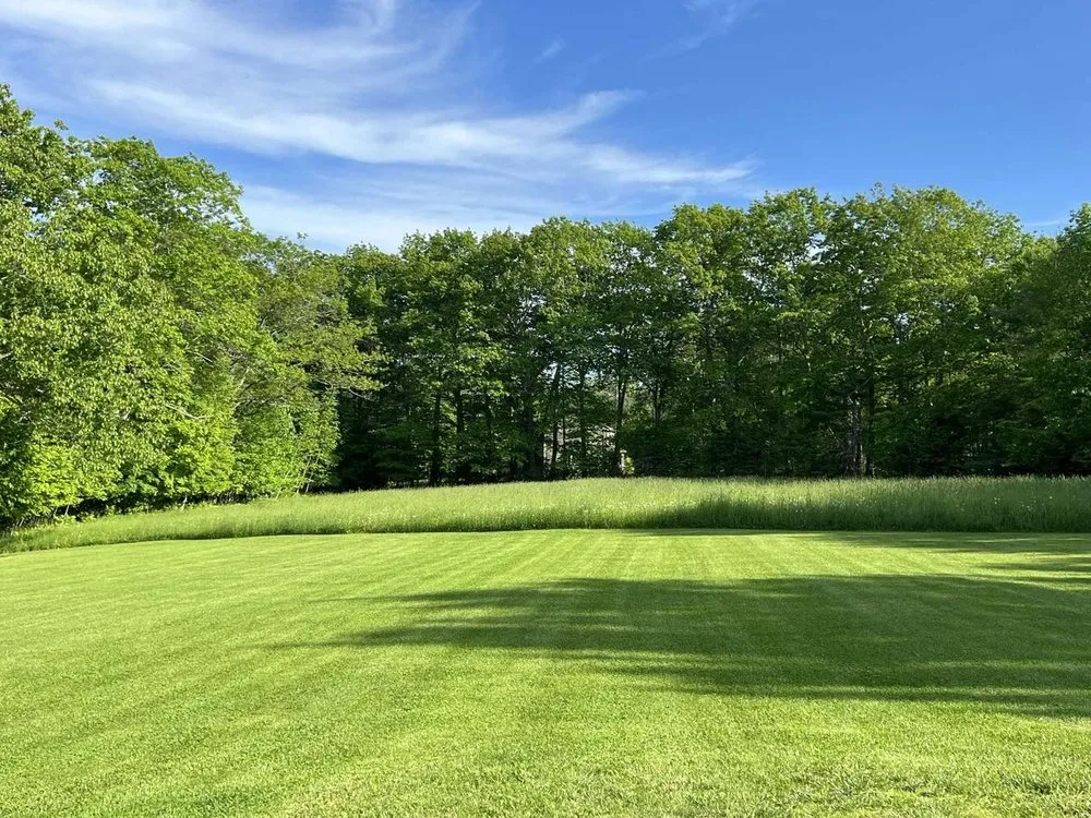 Reliable yard cleanup service experts serving China, ME - Only Lawns