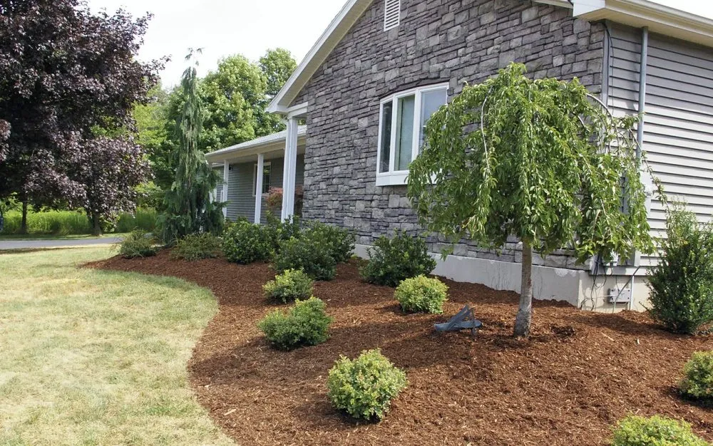 Local residential landscaping with custom design in Colorado Springs, CO by Only Lawns