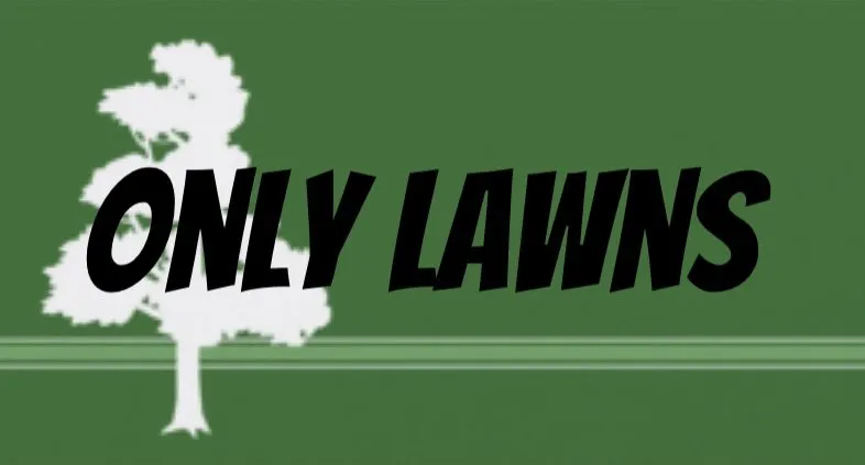 Custom landscape installation in Colorado Springs, CO - Only Lawns