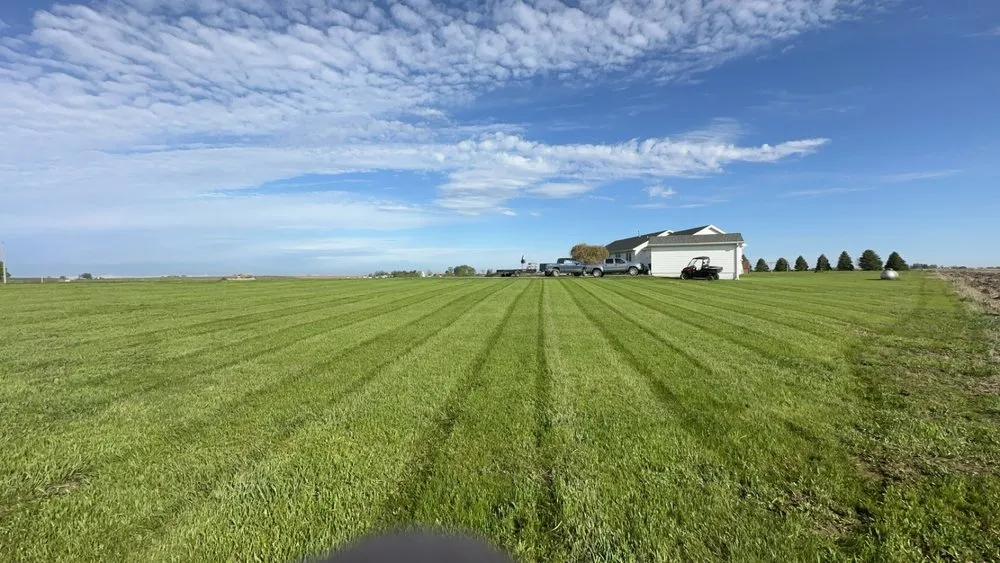 Affordable yard maintenance in Council Bluffs, IA by Only Lawns