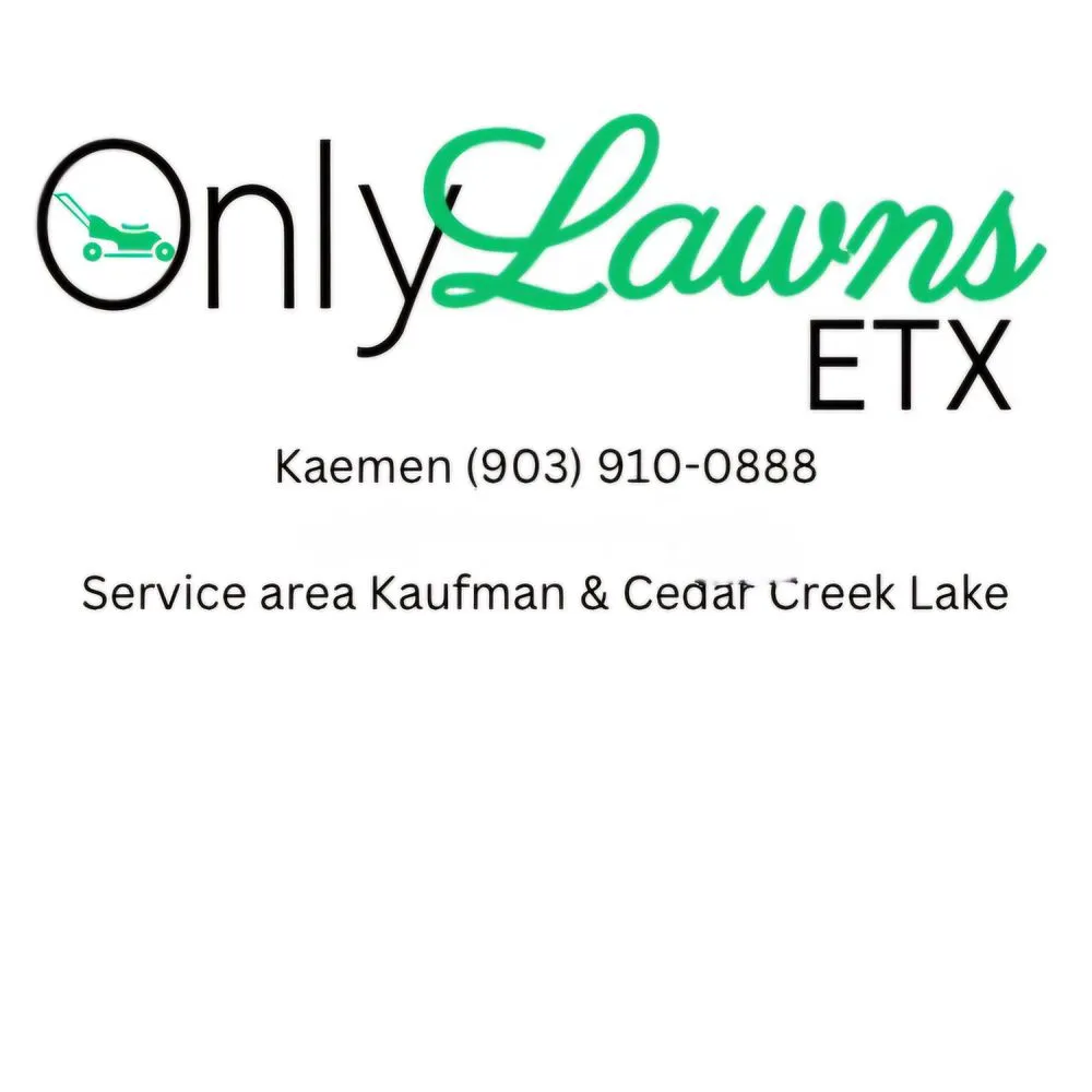 Top-rated lawn mowing service in Eustace, TX by Only Lawns